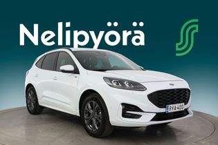 Ford Kuga vaihtoauto