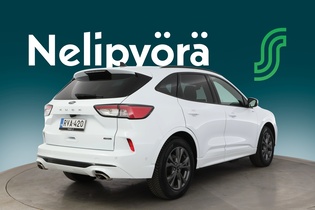 Ford Kuga vaihtoauto