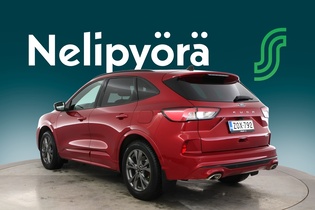 Ford Kuga vaihtoauto