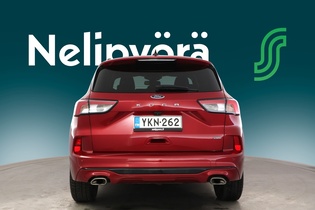 Ford Kuga vaihtoauto
