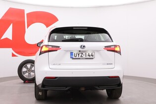 Lexus NX vaihtoauto