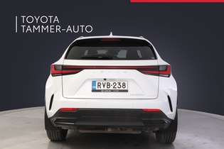 Lexus NX vaihtoauto
