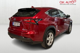 Lexus NX vaihtoauto
