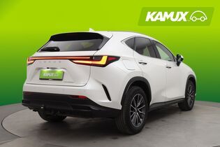 Lexus NX vaihtoauto