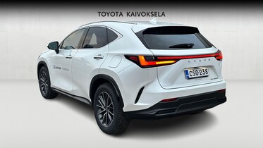 Lexus NX vaihtoauto