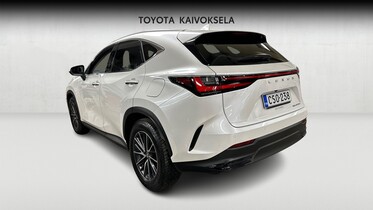 Lexus NX vaihtoauto