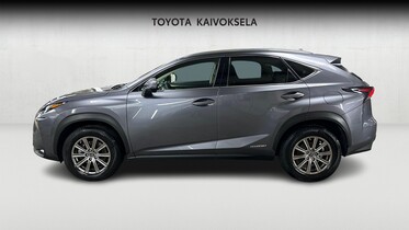Lexus NX vaihtoauto