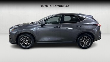 Lexus NX vaihtoauto