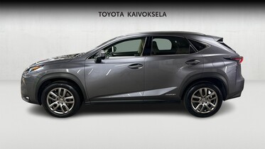 Lexus NX vaihtoauto