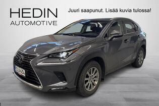Lexus NX vaihtoauto