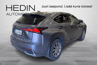 Lexus NX vaihtoauto