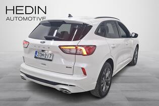 Ford Kuga vaihtoauto