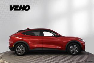 Ford USA Mustang vaihtoauto