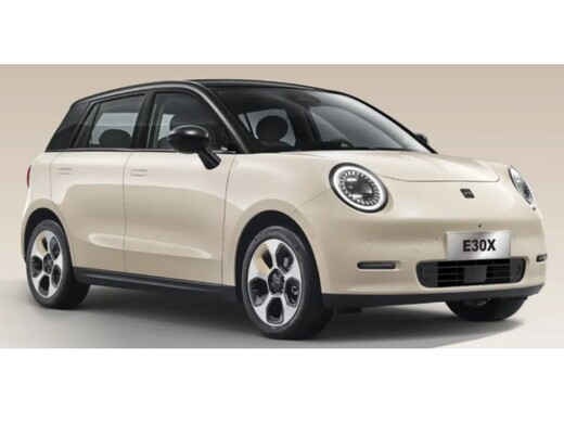 uusi JAC E30X