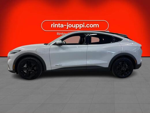 Ford USA Mustang vaihtoauto