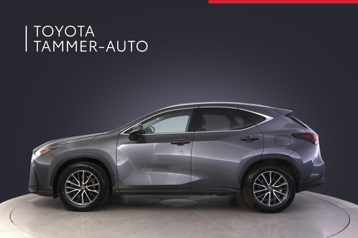 Lexus NX vaihtoauto