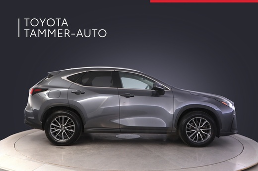 Lexus NX vaihtoauto