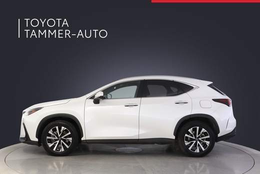 Lexus NX vaihtoauto