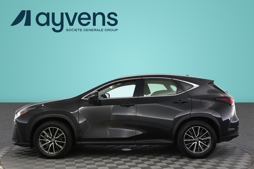 Lexus NX vaihtoauto