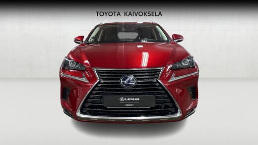 Lexus NX vaihtoauto