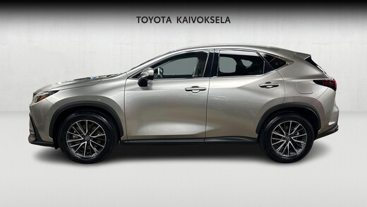 Lexus NX vaihtoauto