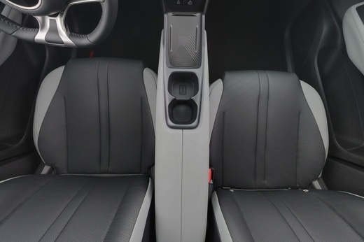 BYD Dolphin Surf vaihtoauto