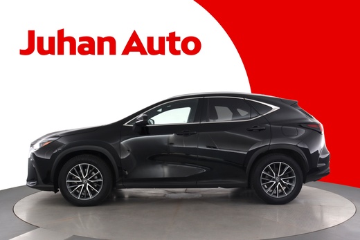 Lexus NX vaihtoauto