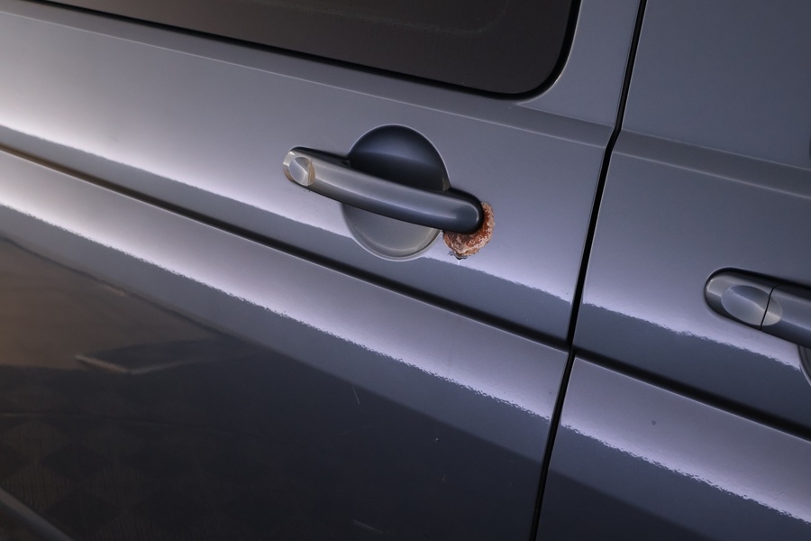 Volkswagen Multivan vaihtoauto