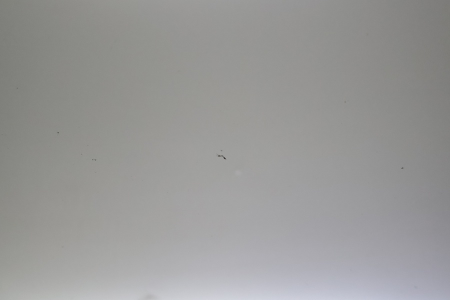 Volkswagen Scirocco vaihtoauto