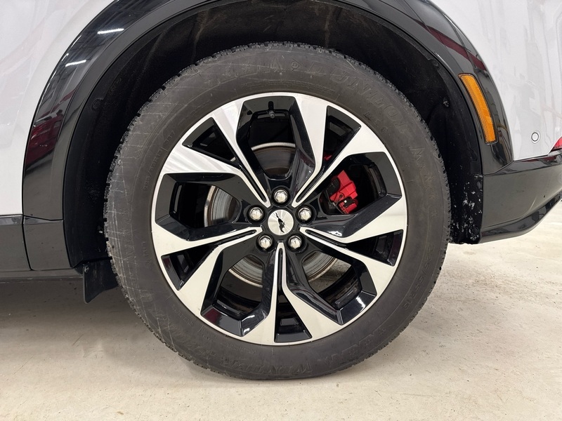 Ford USA Mustang vaihtoauto