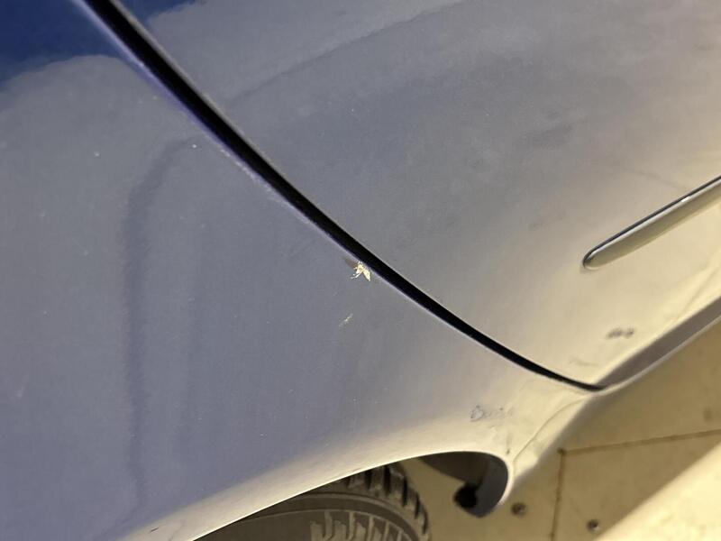 Fiat Punto vaihtoauto