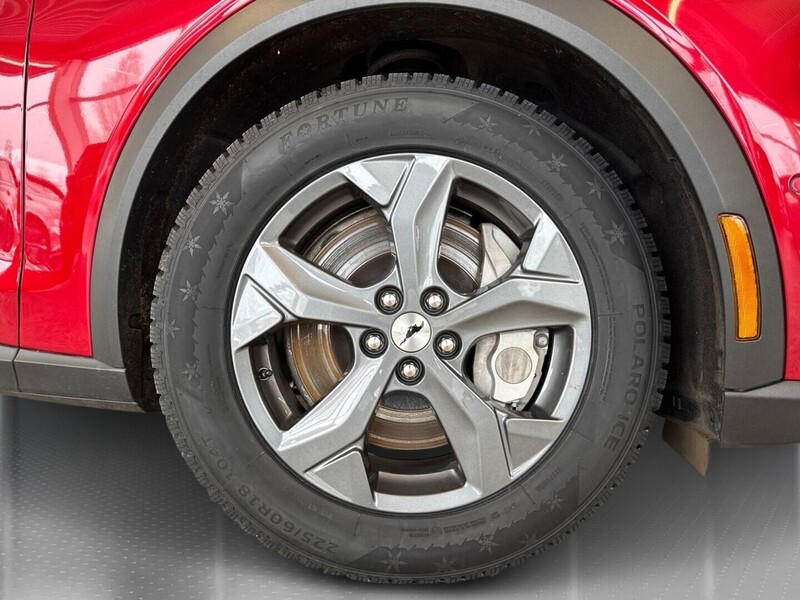 Ford USA Mustang vaihtoauto