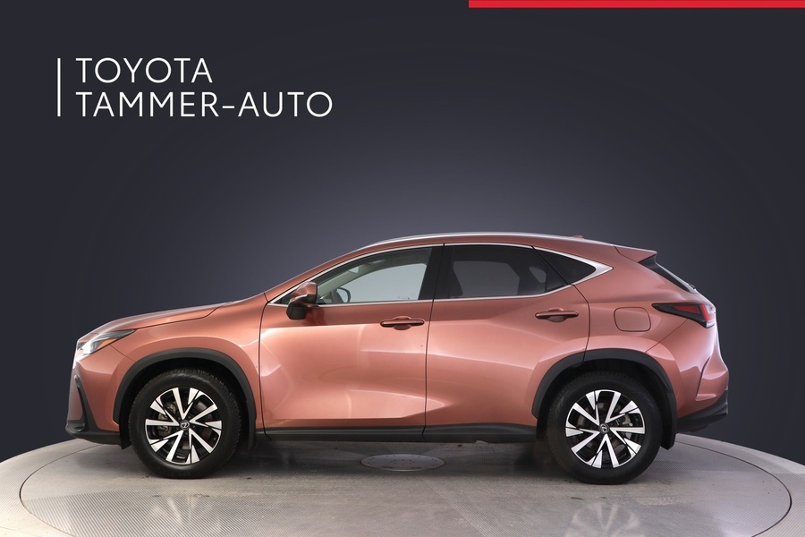 Lexus NX vaihtoauto