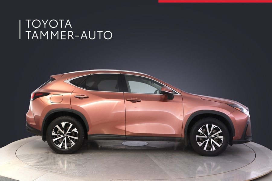 Lexus NX vaihtoauto