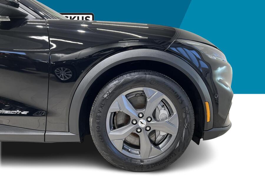 Ford USA Mustang vaihtoauto