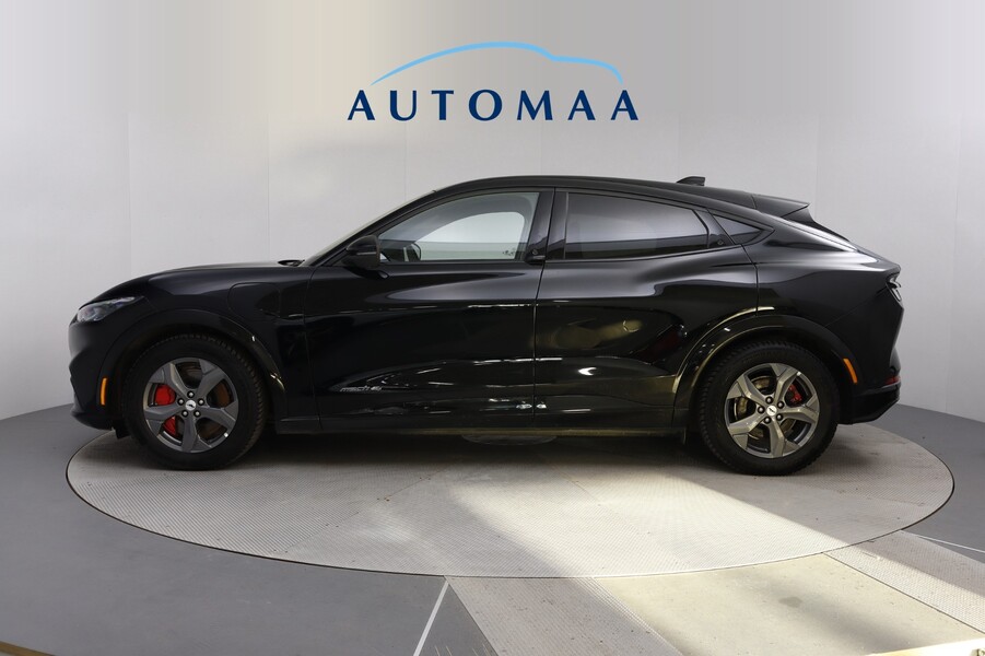 Ford USA Mustang vaihtoauto