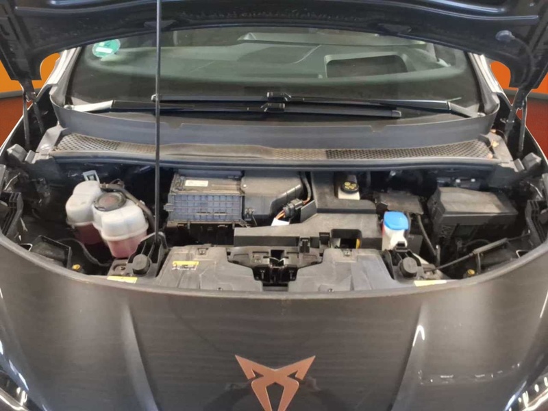 Cupra Born vaihtoauto