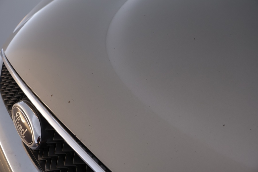 Ford Galaxy vaihtoauto