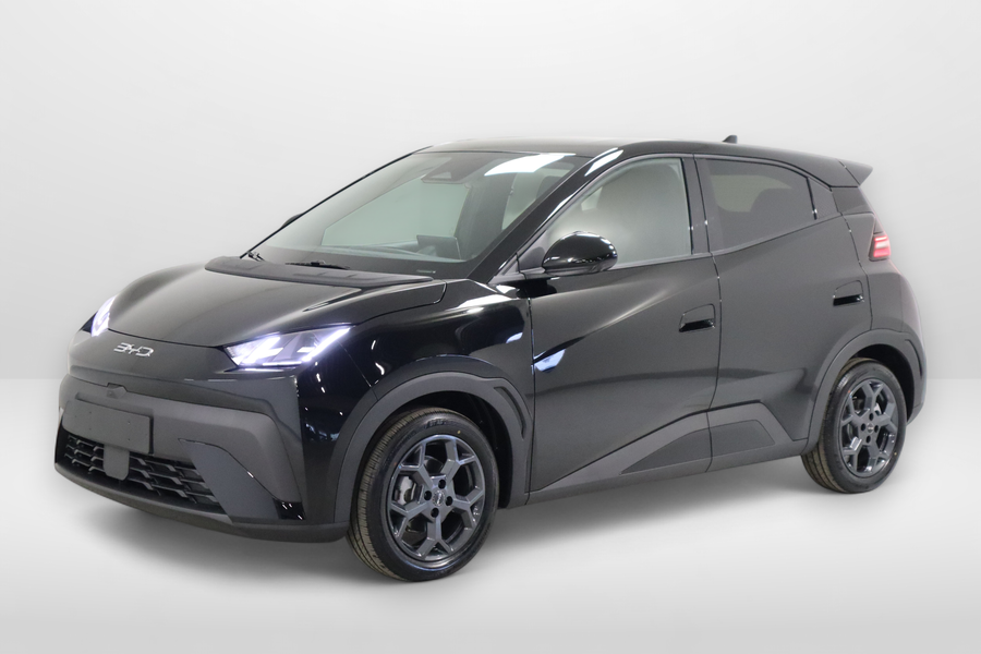 BYD Dolphin Surf vaihtoauto