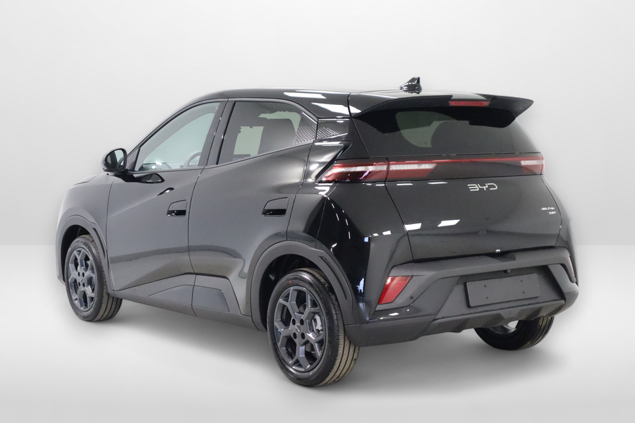 BYD Dolphin Surf vaihtoauto