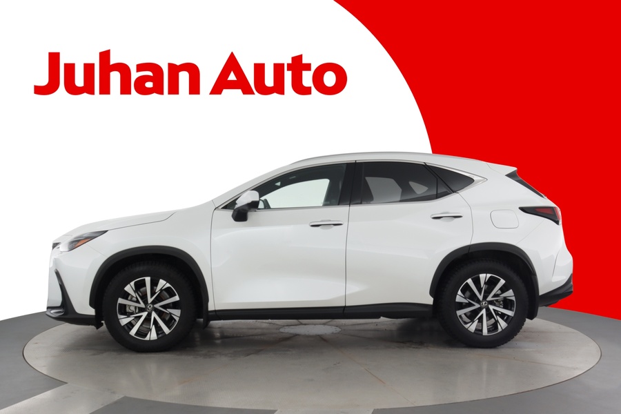 Lexus NX vaihtoauto